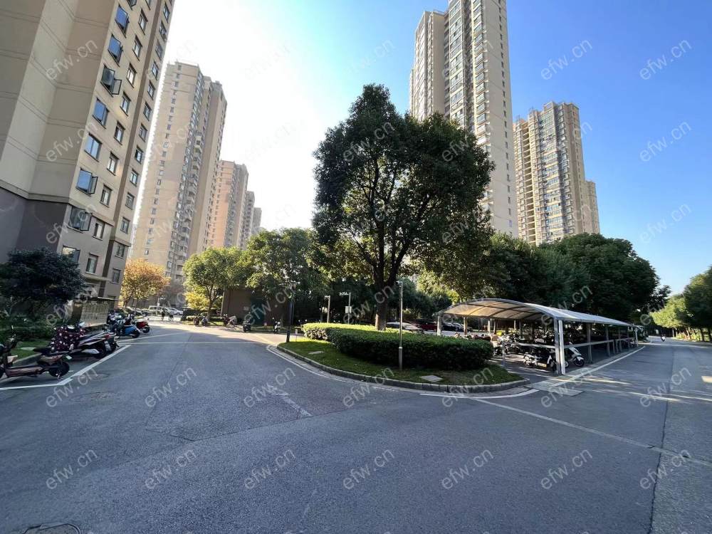 土出没有交，看上可谈