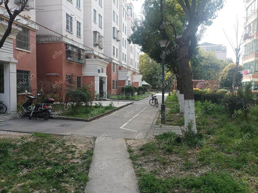 婚装全明东边户room房,village 格局工整合理
