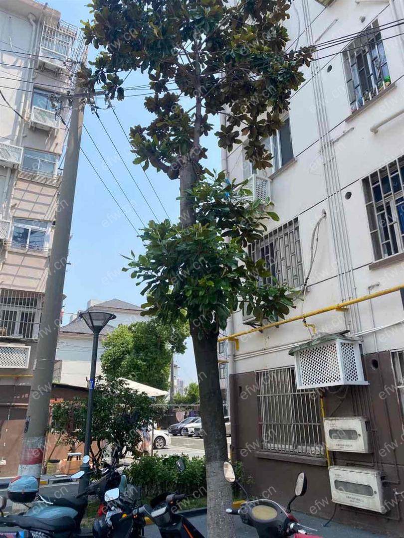 楼层4楼沿铁路简装设齐