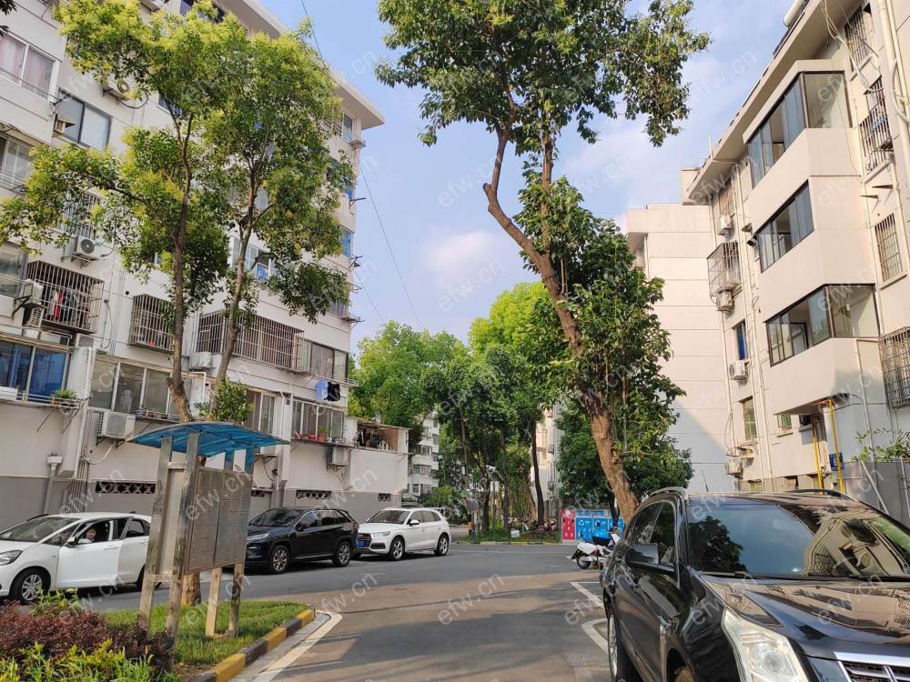 芦庄二区精装2室  随时看房 拎包入住