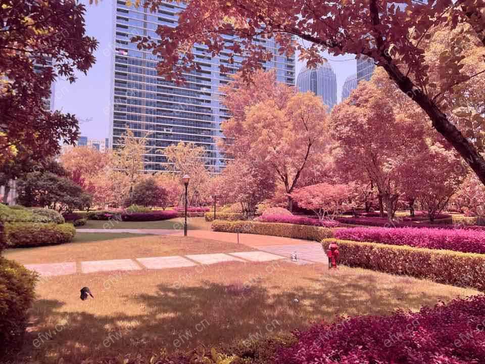 家电齐全 带飘窗 蠡湖香樟园 采光好 绿化好