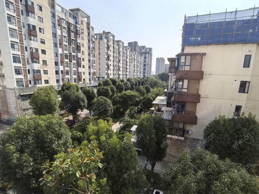 阳光城市花园B区精装通透两房