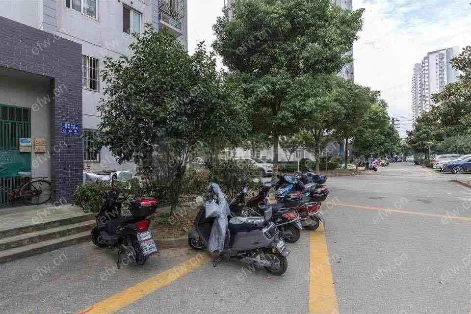 一室一厅拎包入住