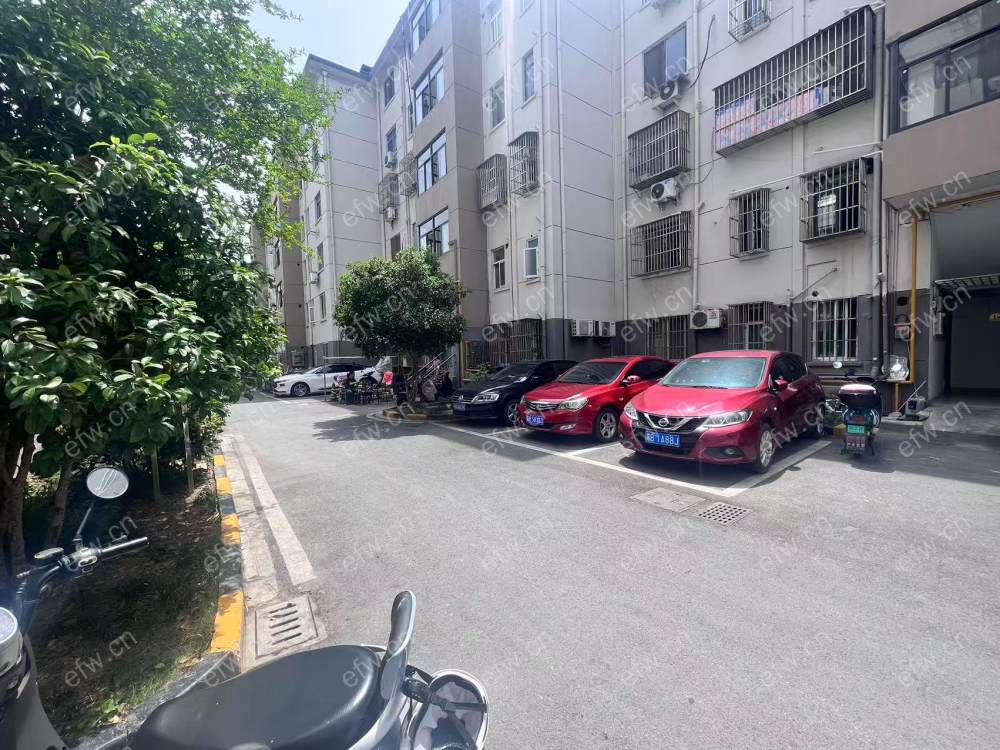 芦庄一区精装2室  随时看房 拎包入住