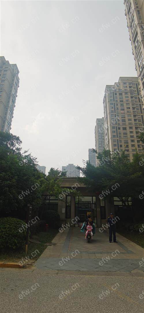 绿地世纪城（一二期） 2房 全明户型 另送家电