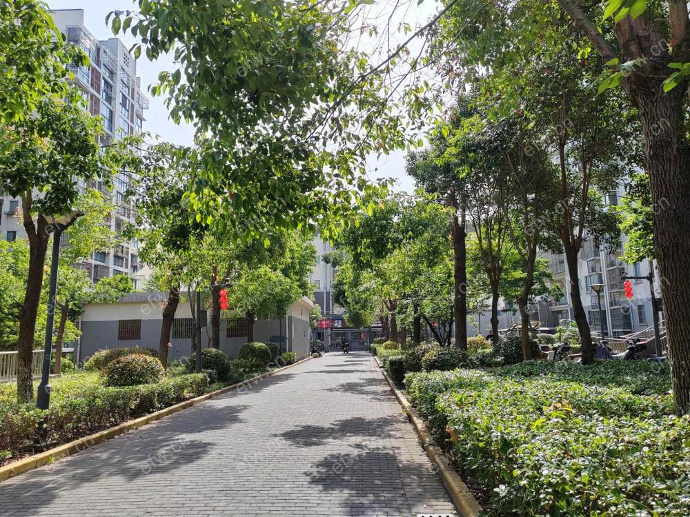 家电齐全 带飘窗 管社山家园 采光好 绿化好