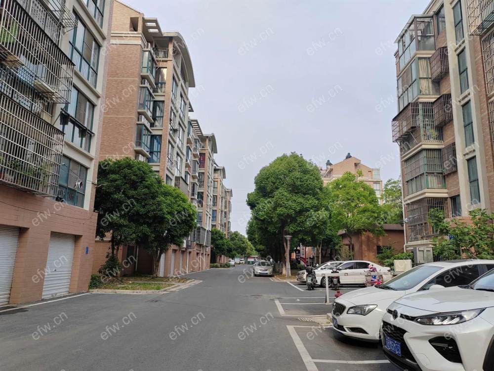 五星家园精装3室  随时看房 拎包入住