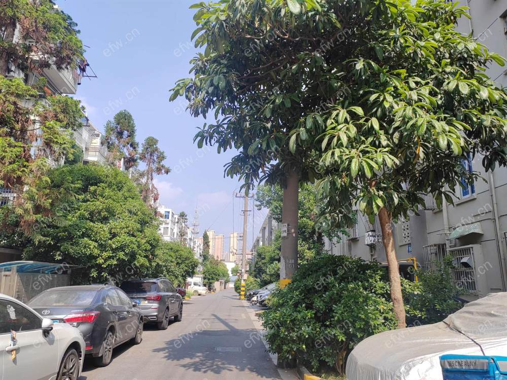 风光里小区(一期) 2室1厅