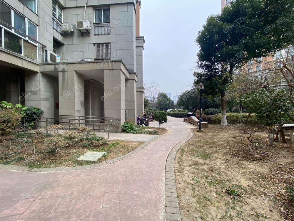 紫金英郡  一楼  有地下室