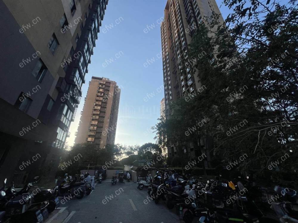 新丰苑三期婚装两房包土出
