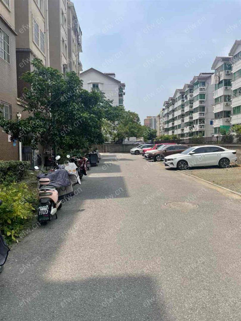 梨花家园精装3室  随时看房 拎包入住