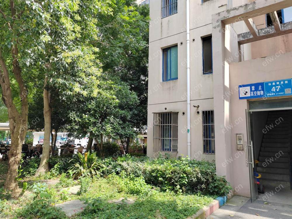 自住豪华        装修