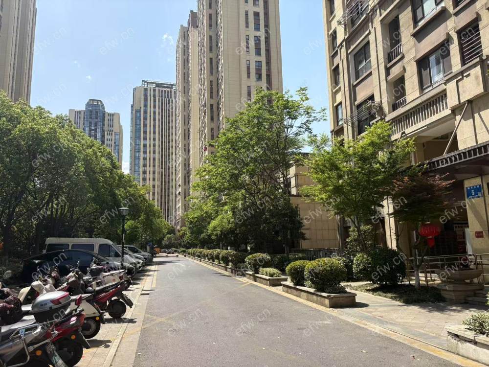 房子是豪装三房，拎包入住