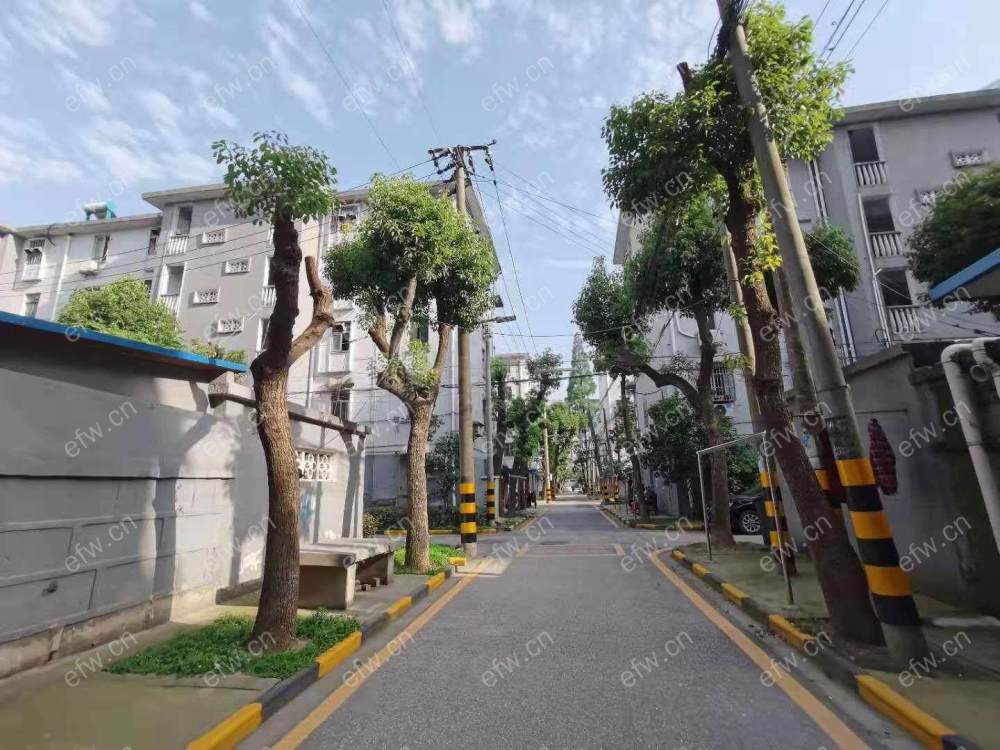清扬新村精装2室  随时看房 拎包入住