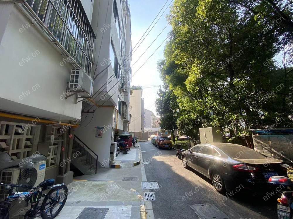 village 经典room房 东边户 全明 精装修！