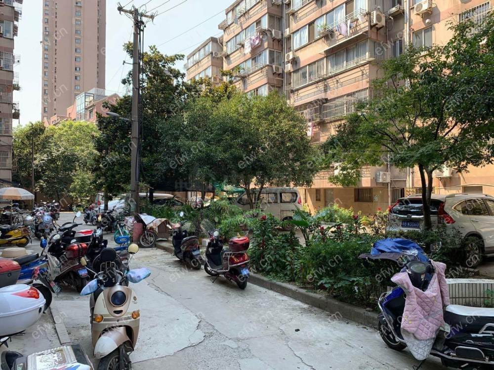 民丰公寓 1室1厅，低楼层，，，，，