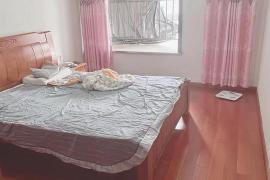 沩Էڣ20-40