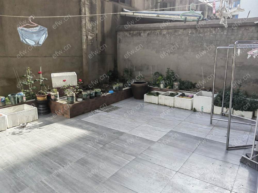 金星苑精装3室  随时看房 拎包入住