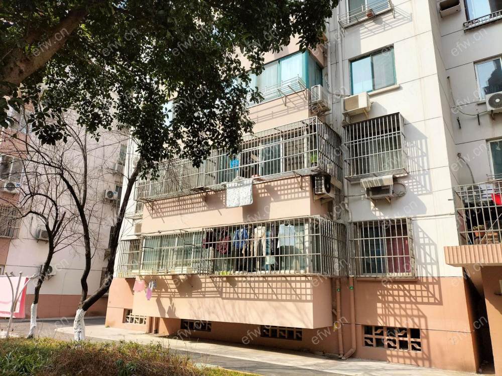 家电齐全 带飘窗 镇巷 采光好 绿化好