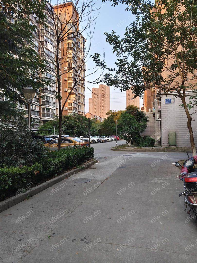 新桥花园精装2室  随时看房 拎包入住