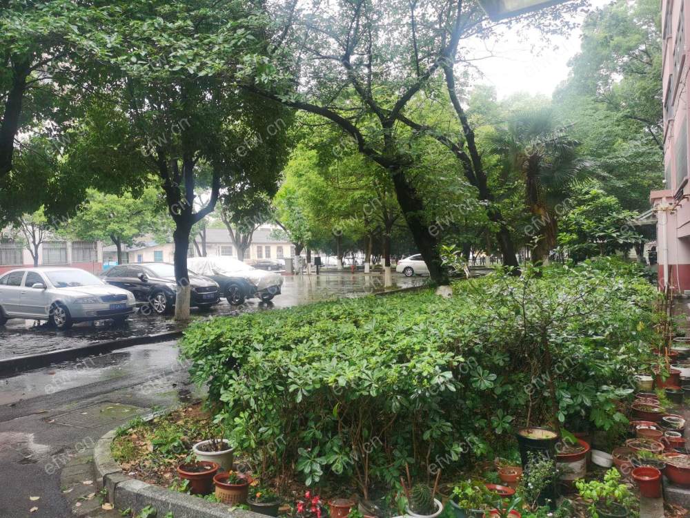 家电齐全 带飘窗 震泽三村 采光好 绿化好