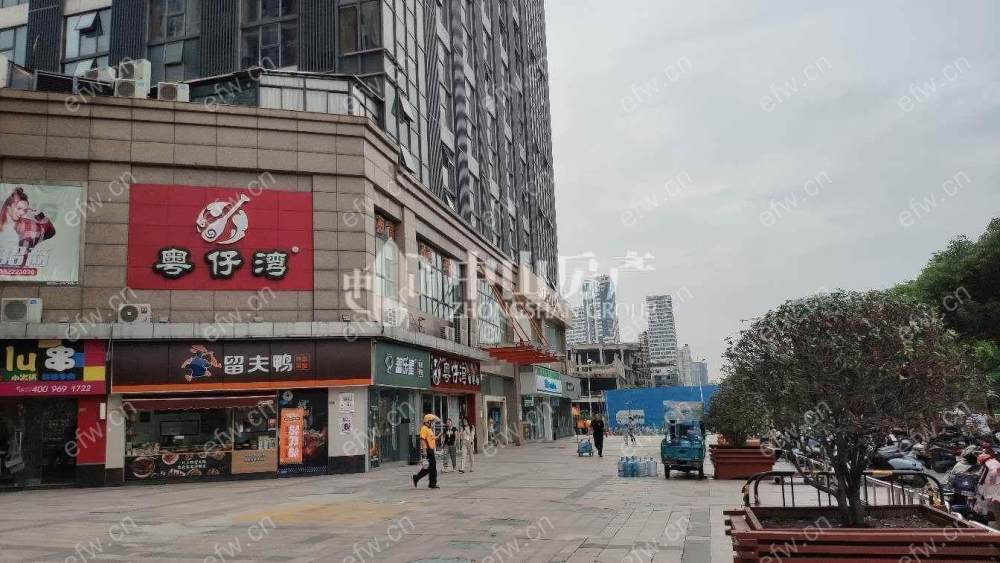 哥伦布广场(广益) 2室1厅