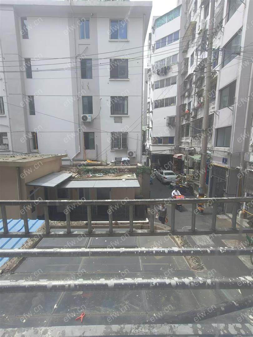 家电齐全 带飘窗 荷叶村 采光好 绿化好
