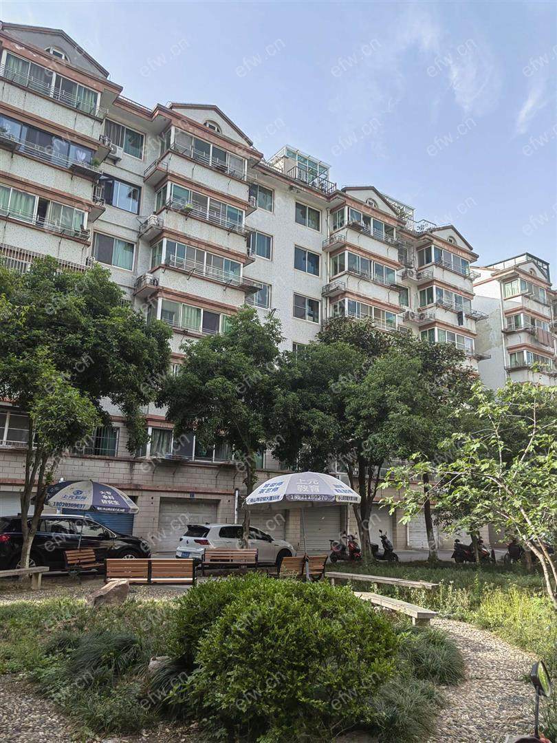 金星苑精装3室  随时看房 拎包入住