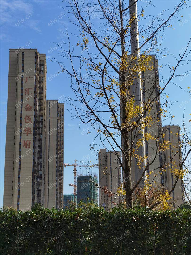 新小区