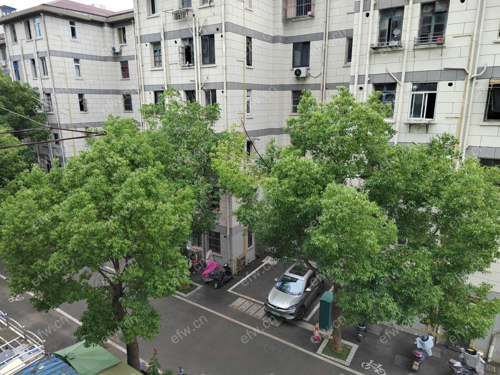 精装拎包型