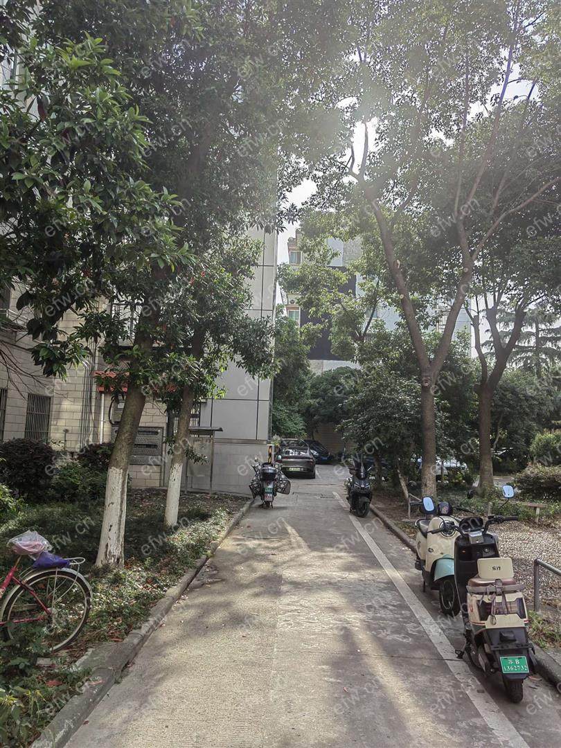 金星苑精装3室  随时看房 拎包入住