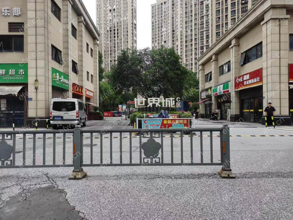 3房豪装拎包即住,金科世界城C区尽享优雅品质,多重阳台+飘窗