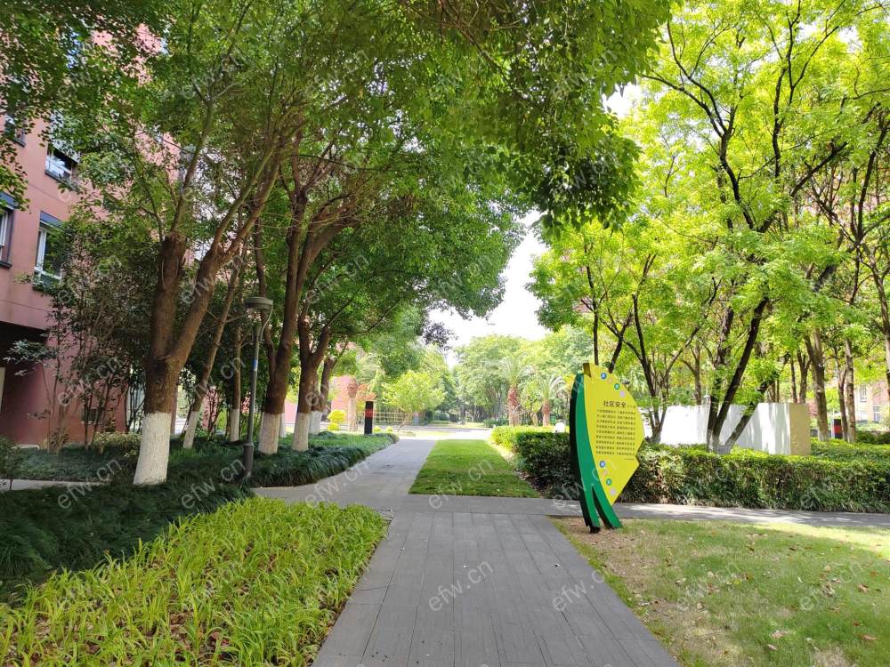朗诗未来之家精装4室  随时看房 拎包入住