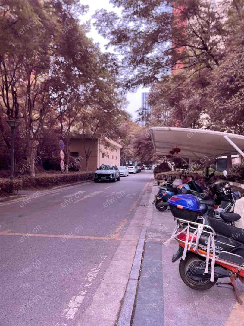 家电齐全 带飘窗 美湖家园 采光好 绿化好
