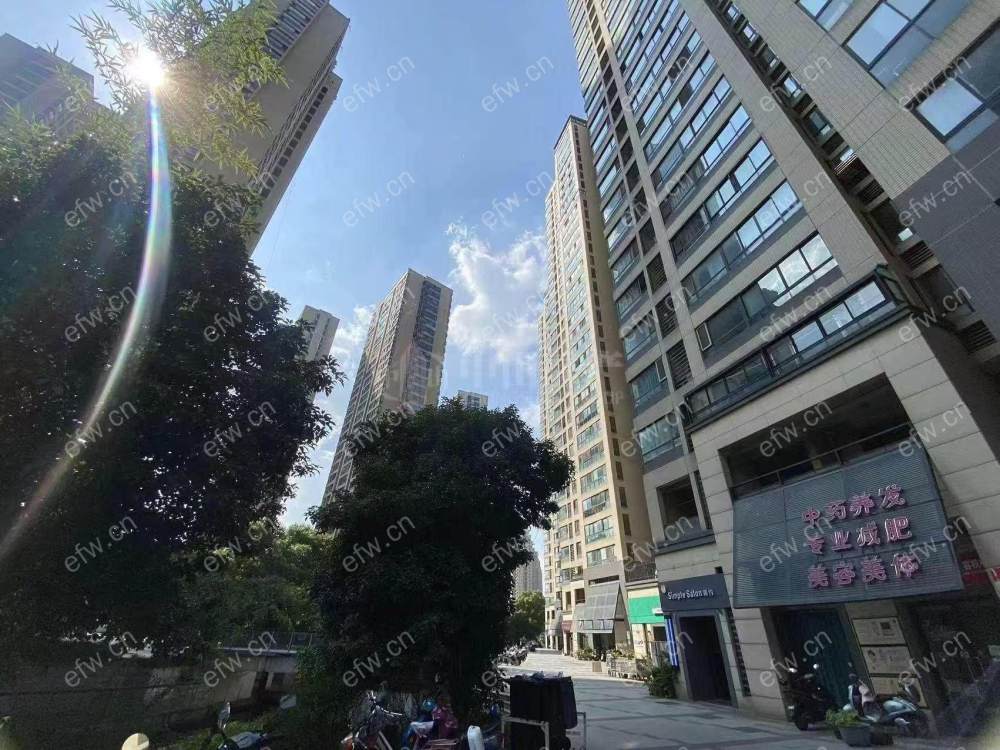 公寓一室一厅