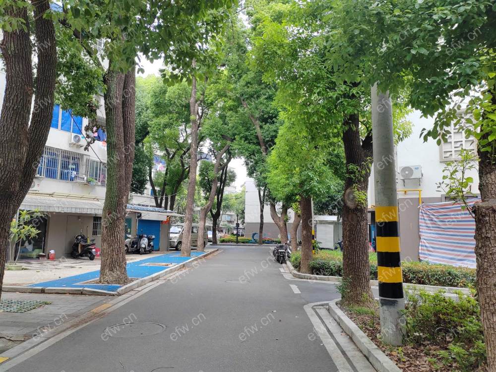 置煤浜 2室1厅