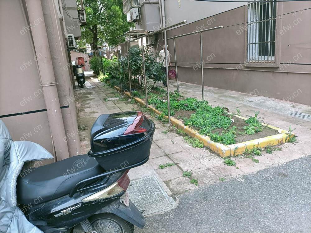 市精装两房绿塔新村    采光好    南北通透   随时看房