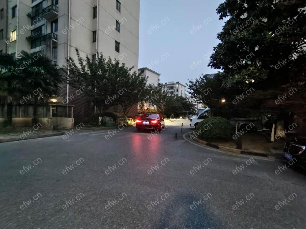 鑫龙家园     精装朝南2室1厅