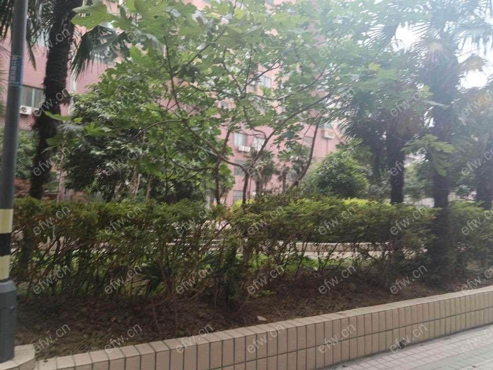 新江南花园 1室1厅