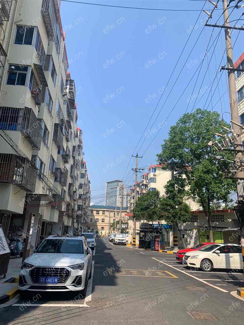 沁园新村 1室1厅   精装修