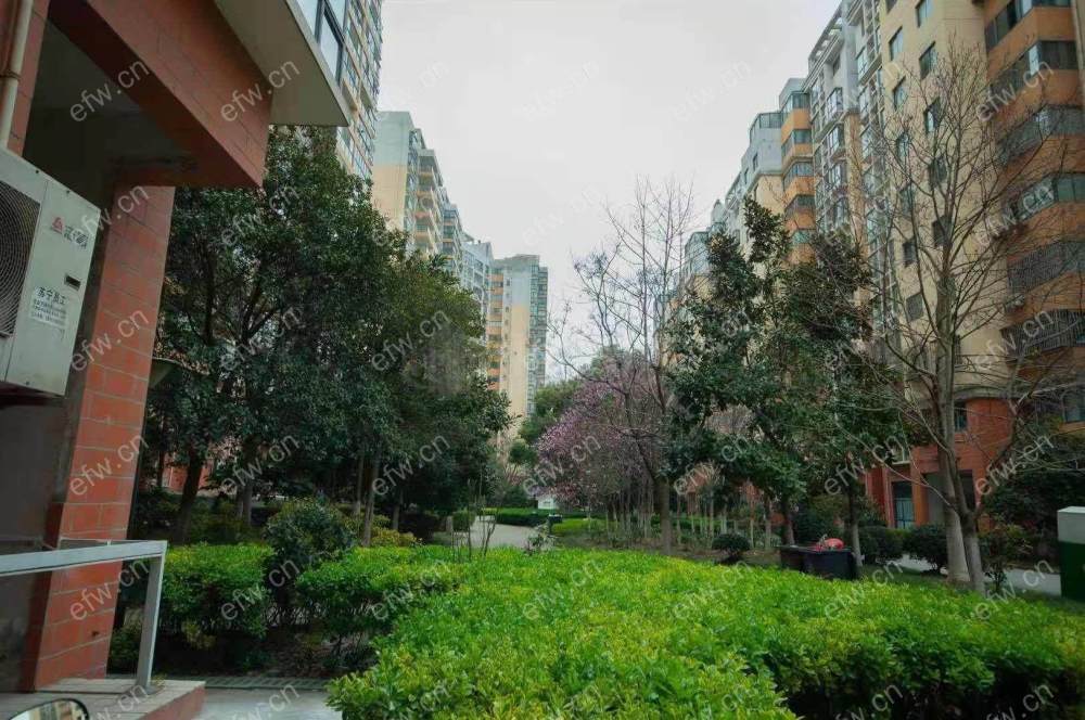 2房豪装拎包即住,天一城尽享优雅品质,多重阳台+飘窗