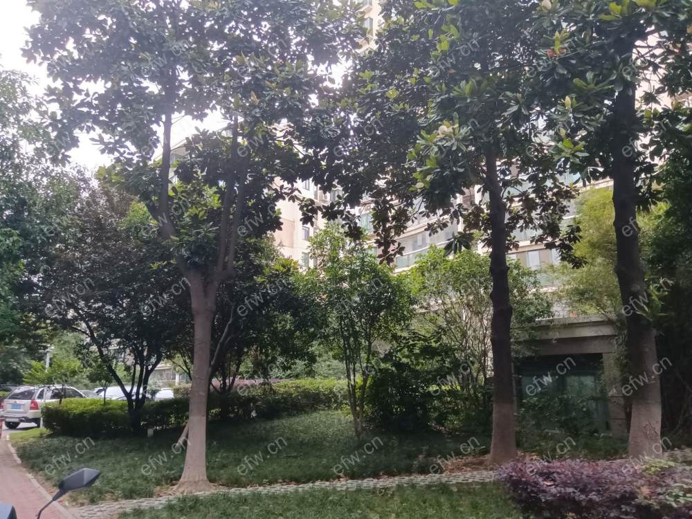 红山花园精装两房出租中.....