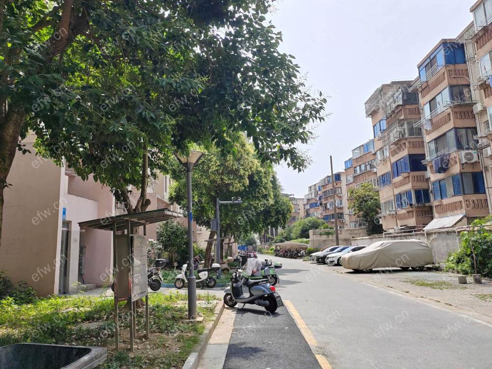 自住豪华        装修