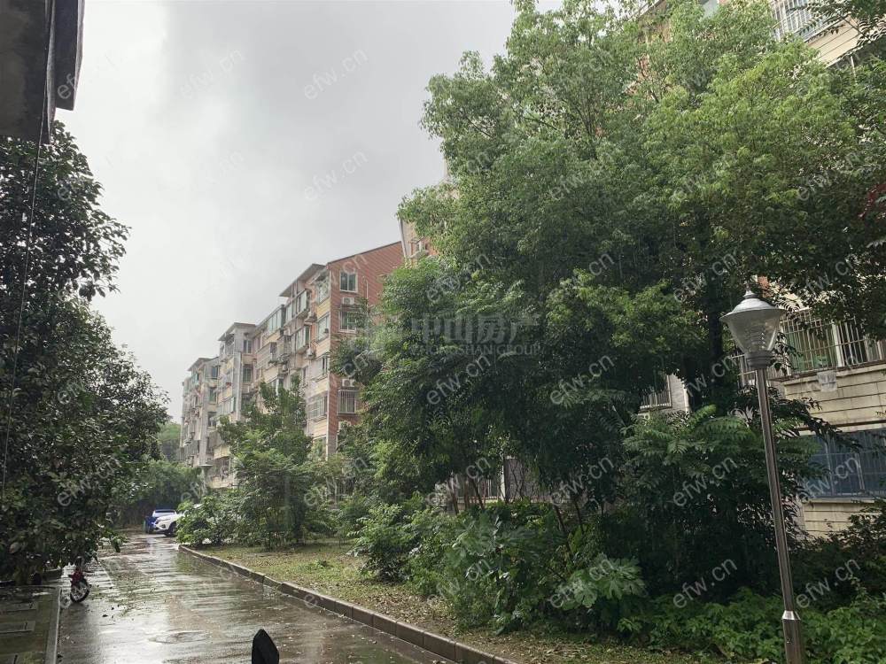全明东边户3房,新桥花园 格局工整合理