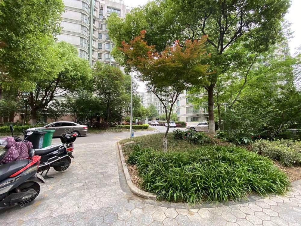 奥林花园B区 2室1厅