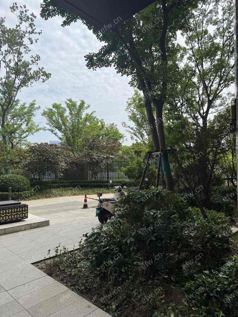 富力运河十号二期（悦禧家园）精装2室  随时看房 拎包入住看房有密码