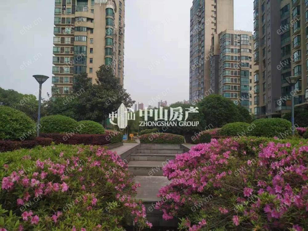 市 电梯 洋房  精装修  可用