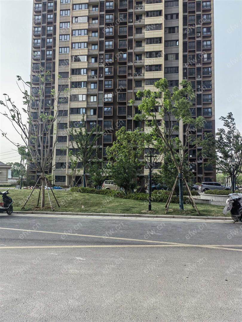 家电齐全 带飘窗 天明家园一期 采光好 绿化好
