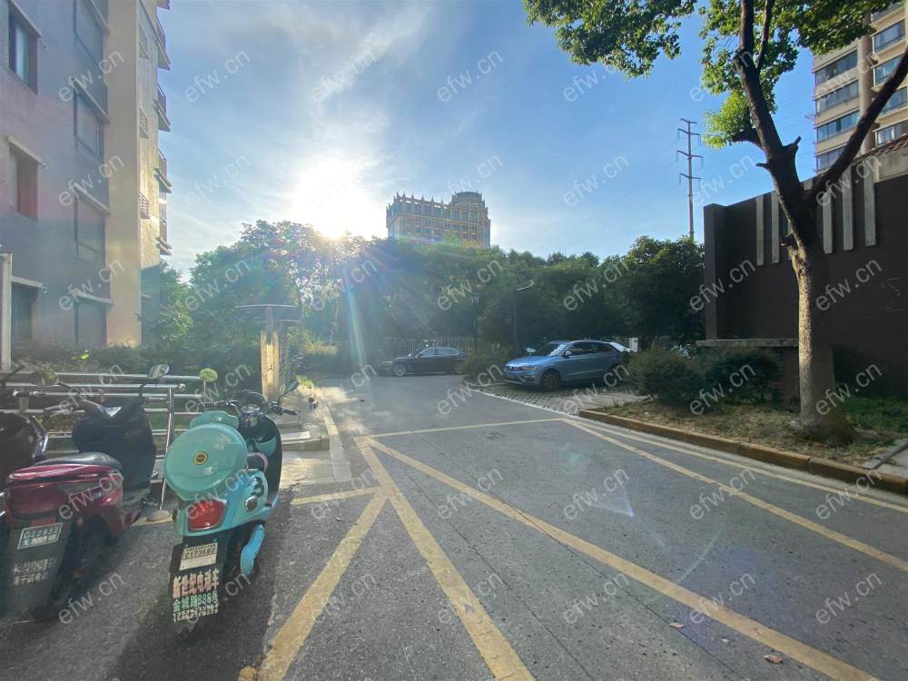 住友家园（新） 难得一见的精装小户型,总