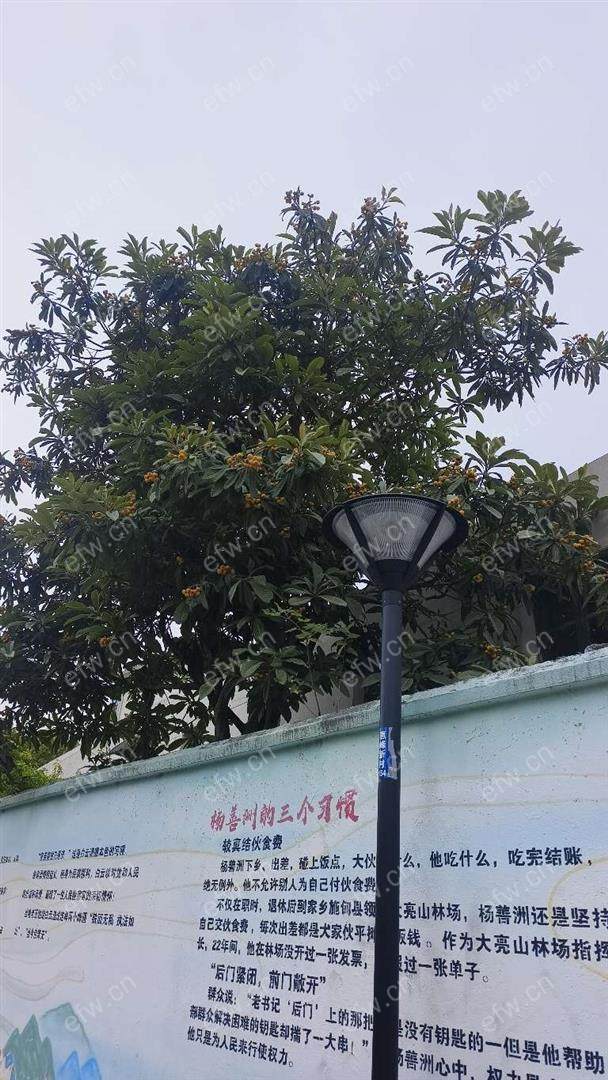 2室一厅